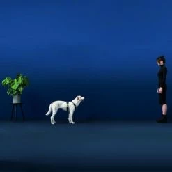 HUNTER Maldon Dog Harness – Black/Grey -Zooplus Sales Shop 100413 hunter geschirr maldon hs 03 2