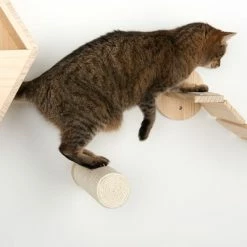 Korbin Wall Mounted Scratch Post 12 Korbin Wall Mounted Scratch Post -Zooplus Sales Shop 105348 kratzstamm korbin fg 8518 6