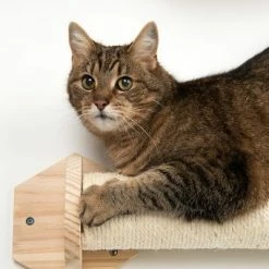 Phoebe Wall Mounted Scratch Post 13 Phoebe Wall Mounted Scratch Post -Zooplus Sales Shop 105455 kratzstamm wllie fg 8545 1