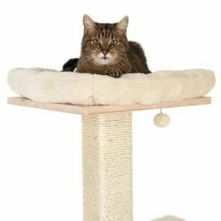 Natural Paradise Scratching Tree - Orchid L 15 Natural Paradise Scratching Tree - Orchid L -Zooplus Sales Shop 109398 katze fg 9360 6