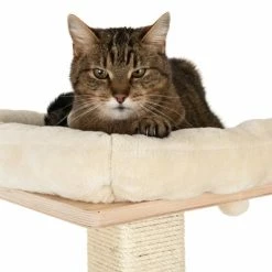 Natural Paradise Scratching Tree - Orchid M -Zooplus Sales Shop 109398 katze fg 9361 8