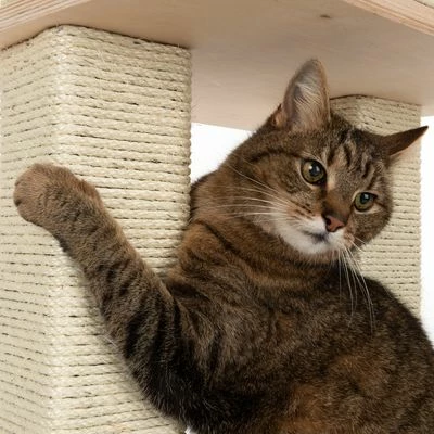 Natural Paradise Scratching Tree - Orchid L 9 Natural Paradise Scratching Tree - Orchid L - Image 7