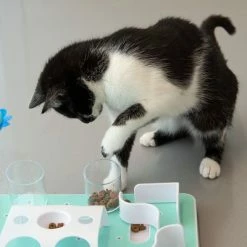 Slo-Mo Cat Toy -Zooplus Sales Shop 110a75 1 8