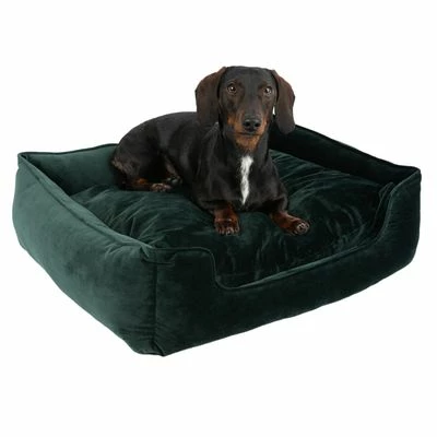 Modern Living Fern Dog Bed 7 Modern Living Fern Dog Bed - Image 5