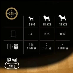 Cesar Pouches Deliciously Fresh Selection In Jelly Saver Packs -Zooplus Sales Shop 111709 cesar favoriten in gelee hs 02 4