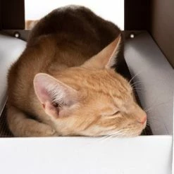 XL Cat Den With Scratching Pad Winter Edition -Zooplus Sales Shop 116301 xl katzenhaus home inkl kratzbrett fg 3669 3