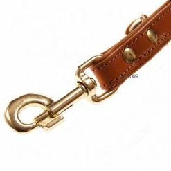 Heim Buffalo Dog Lead & Collar Set -Zooplus Sales Shop 11742 1 detail 2