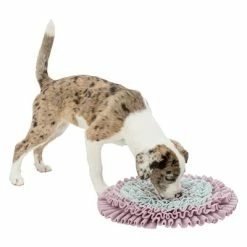 Trixie Junior Sniff And Search Mat -Zooplus Sales Shop 122207 pla trixie junior schnueffelteppich 38cm hs 05 4