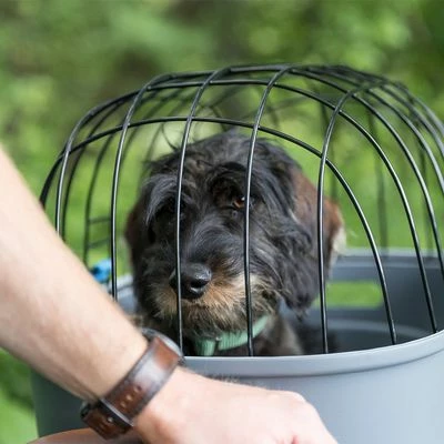 Trixie Friends On Tour Bicycle Basket For Luggage Rack 7 Trixie Friends On Tour Bicycle Basket For Luggage Rack - Image 5