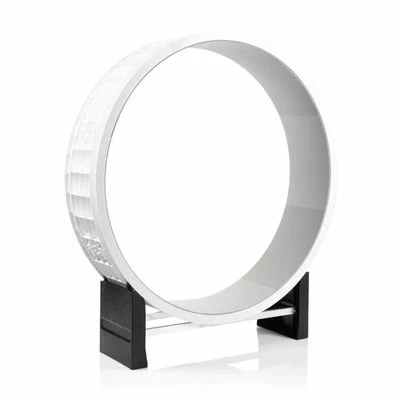 CanadianCat Company Cat In Motion Wheel 3 CanadianCat Company Cat In Motion Wheel