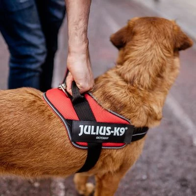 Julius K9 JULIUS-K9 IDC® Powair Harness - Orange - Image 4