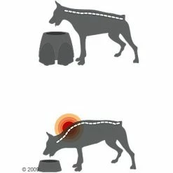 Savic Ergo Feeder Doggy Bar 15 Savic Ergo Feeder Doggy Bar -Zooplus Sales Shop 125461 savic ergofeeder3 1