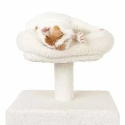 La Digue II Cat Tree 13 La Digue II Cat Tree -Zooplus Sales Shop 126196 mit katze fg 4520 1