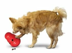 KONG Wobbler Dog Toy -Zooplus Sales Shop 1355067777031411080314 3