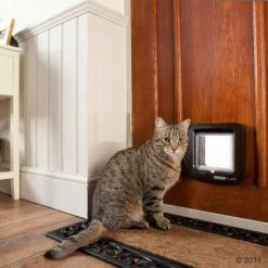 SureFlap Microchip Cat Flap -Zooplus Sales Shop 136978 sureflap braun mit katze 09 2011 2