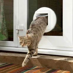 SureFlap DualScan Microchip Cat Flap -Zooplus Sales Shop 136978 sureflap wei 2 mit katze 09 2011 7
