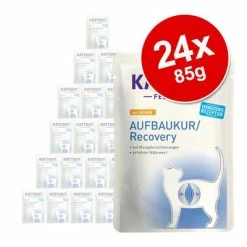 Kattovit Recovery Pouches 24 X 85g