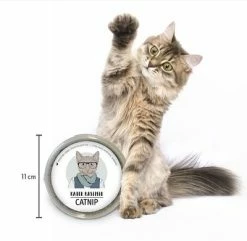 Kater Kasimir Catnip 14 Kater Kasimir Catnip -Zooplus Sales Shop 144896 asaquaristik kater kasimir katzenminze cat 60g hs 03 9