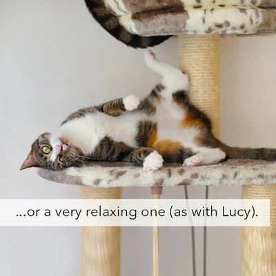 Kater Kasimir Catnip 6 Kater Kasimir Catnip - Image 4