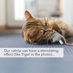 Kater Kasimir Catnip 11 Kater Kasimir Catnip -Zooplus Sales Shop 144896 asaquaristik kater kasimir katzenminze cat 60g hs 06 3