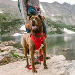 Ruffwear Front Range Dog Harness, Red Sumac 13 Ruffwear Front Range Dog Harness, Red Sumac -Zooplus Sales Shop 146300 accapi hundegeschirr front range harness brustumfang small rot 56 96cm hs 10 6 1