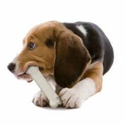 Nylabone Puppy Dog Chew Starter Kit -Zooplus Sales Shop 150796 interpet nylabone puppy starterkit dogchew hs 04 5