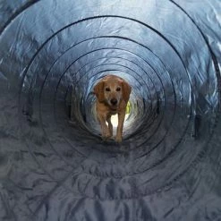 Trixie Agility Tunnel -Zooplus Sales Shop 15686 trixie agility tunnel fg 16 7