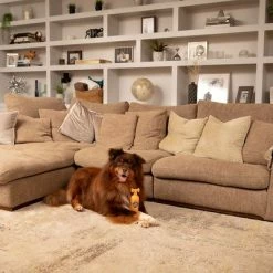 Pet Head Ditch The Dirt Shampoo -Zooplus Sales Shop 159700 companyofanimals pethead ditchthedirt shampoo 300ml hs 06 9