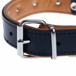 Heim Leather Lead & Collar Set - Stars 14 Heim Leather Lead & Collar Set - Stars -Zooplus Sales Shop 160891 heim halsband stars 5 1