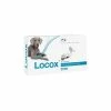 Locox Joint Tablets -Zooplus Sales Shop 161500 pla elvetis locox gelenktabletten 7