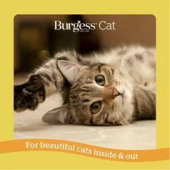 Burgess Adult Cat Rich In Chicken With Duck -Zooplus Sales Shop 1624624427220 4 4