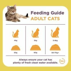 Burgess Adult Cat Rich In Chicken With Duck -Zooplus Sales Shop 1624624428002 1 4