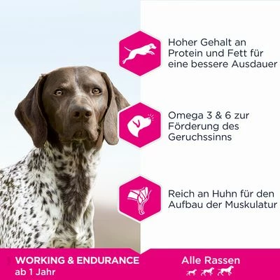 Eukanuba Daily Care Adult Working & Endurance - Image 3