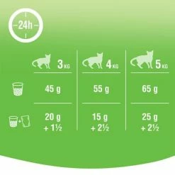 Kitekat Adult Dry Cat Food – Chicken And Vegetable -Zooplus Sales Shop 164398 marspl kitekat dryadult chickenvegetables hs 04 3