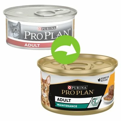 Purina Pro Plan Cat Adult Maintenance 24 X 85g 4 Purina Pro Plan Cat Adult Maintenance 24 X 85g - Image 2
