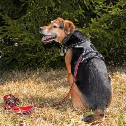 Petlando Pawz & Pepper Strong Dog Harness – Red/Black 15 Petlando Pawz & Pepper Strong Dog Harness – Red/Black -Zooplus Sales Shop 174596 174696 petlando fuhrleinestrong rot 230cm hs 09 7