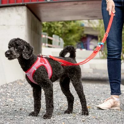 Curli Adjustable Nylon Lead - Red 9 Curli Adjustable Nylon Lead - Red - Image 7