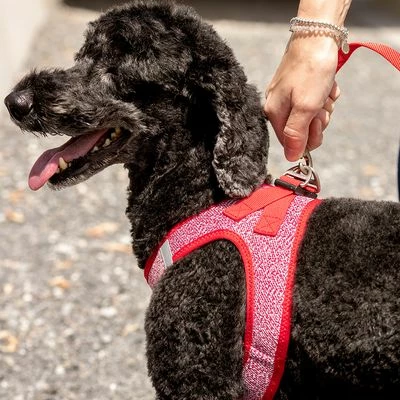 Curli Adjustable Nylon Lead - Red 6 Curli Adjustable Nylon Lead - Red - Image 4