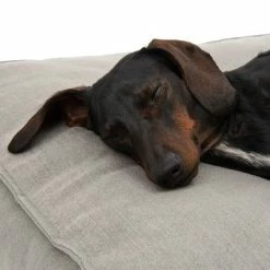 Hamilton EcoLIFE Dog Bed Grey -Zooplus Sales Shop 180715 hamilton ecolife grau fg 6400 5