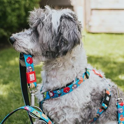 Max & Molly Little Monsters H-Harness 9 Max & Molly Little Monsters H-Harness - Image 7