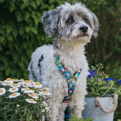 Max & Molly Little Monsters H-Harness 4 Max & Molly Little Monsters H-Harness - Image 2