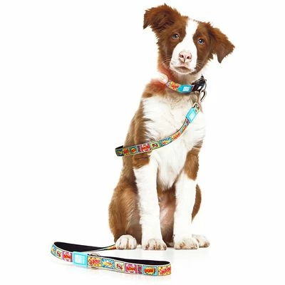 Max & Molly Comic Print Short Lead 8 Max & Molly Comic Print Short Lead - Image 6