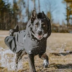 Hurtta Bare Raincoat Coal -Zooplus Sales Shop 188096 188096 186536 186537 186538 186539 186540 hurtta forzooplus bare regenmantel coal hs 13 5