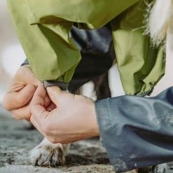 Hurtta Bare Rain Overalls Pine -Zooplus Sales Shop 188303 188304 188305 188396 186542 186543 hurtta forzooplus bare regenoverall pine hs 07 8