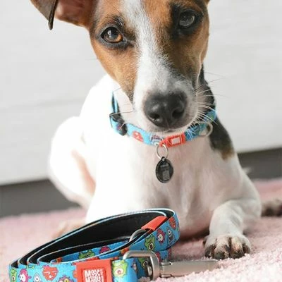 Max & Molly Little Monsters Multifunctional Lead 8 Max & Molly Little Monsters Multifunctional Lead - Image 6