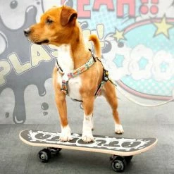 Max & Molly Comic Print H-Harness 16 Max & Molly Comic Print H-Harness -Zooplus Sales Shop 189999 186590 190000 maxnmolly h geschirr comic hs 03 8