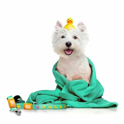 Max & Molly Ducklings Short Lead 6 Max & Molly Ducklings Short Lead - Image 4