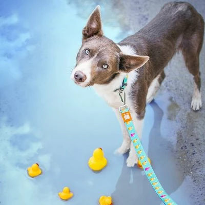 Max & Molly Ducklings Short Lead 4 Max & Molly Ducklings Short Lead - Image 2