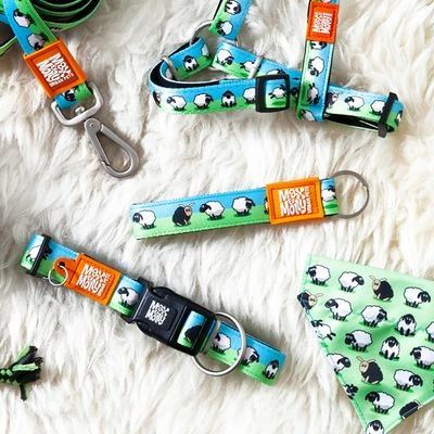 Max & Molly Black Sheep H-Harness 9 Max & Molly Black Sheep H-Harness - Image 7