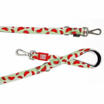 Max & Molly Watermelon Multifunctional Lead 10 Max & Molly Watermelon Multifunctional Lead - Image 8
